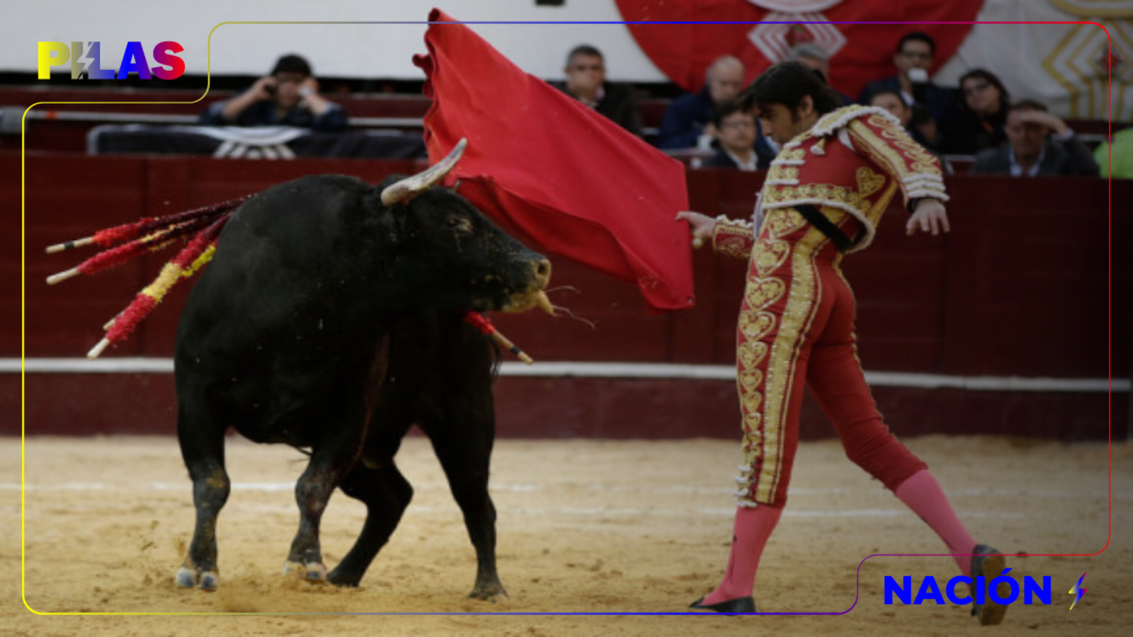 Senado Aprueba Proyecto De Ley Que Prohíbe La Corrida De Toros Pilas 2377